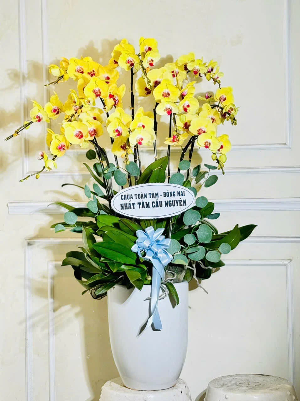 Lan hồ điệp chia buồn Quy Nhơn 