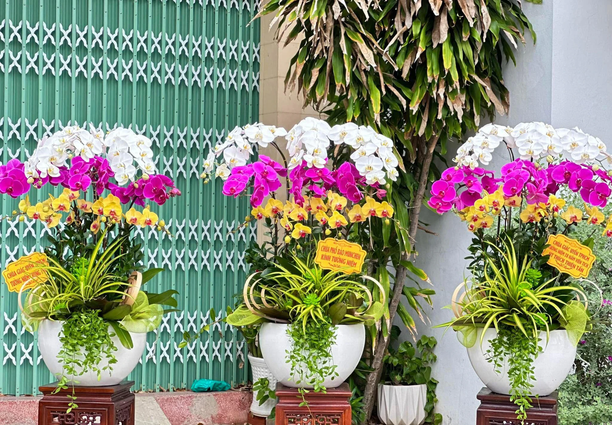 Các mẫu hoa chia buồn Quy Nhơn, Bình Định được lựa chọn nhiều