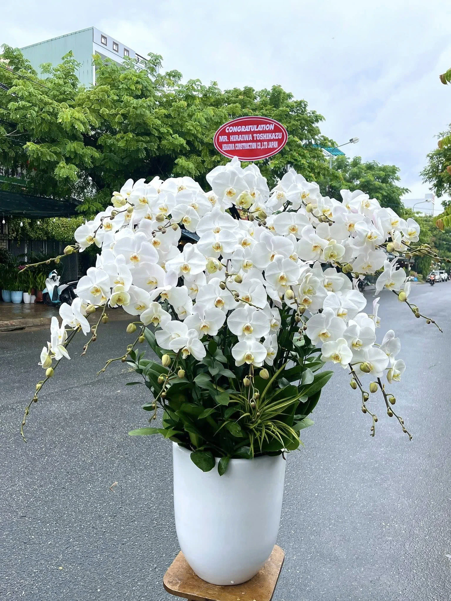 Lan hồ điệp chia buồn
