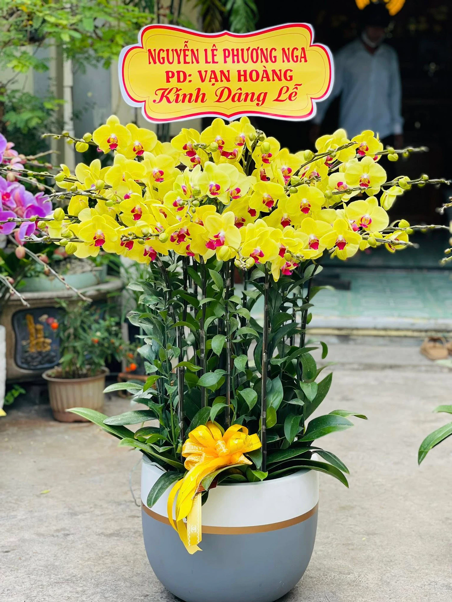 Vì sao nên chọn shop hoa lan hồ điệp Nha Trang – Hoa Tháng Năm
