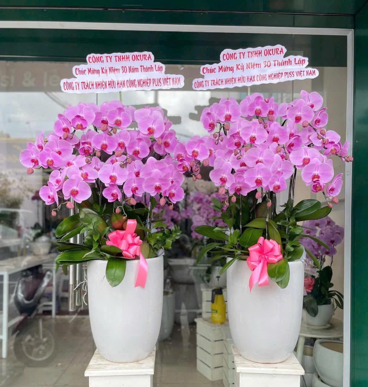 Giới thiệu shop hoa lan hồ điệp Đà Nẵng – Hoa Tháng Năm