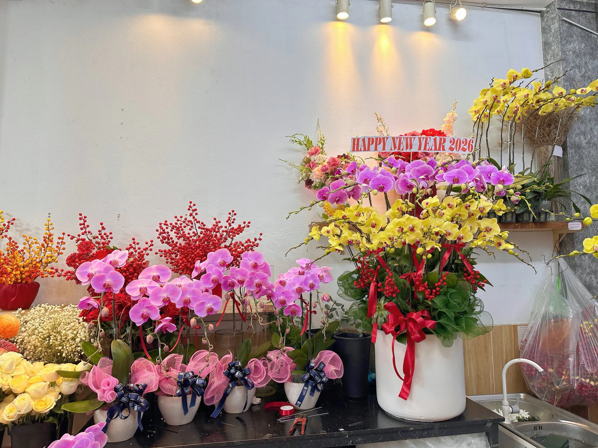 Hoa Lan Hồ Điệp [Nha Trang] Sang Trọng, Giao Nhanh, Đúng Mẫu
