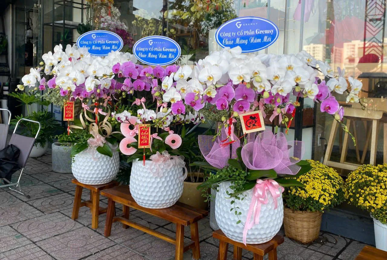 Quy trình đặt hoa lan hồ điệp Đà Nẵng