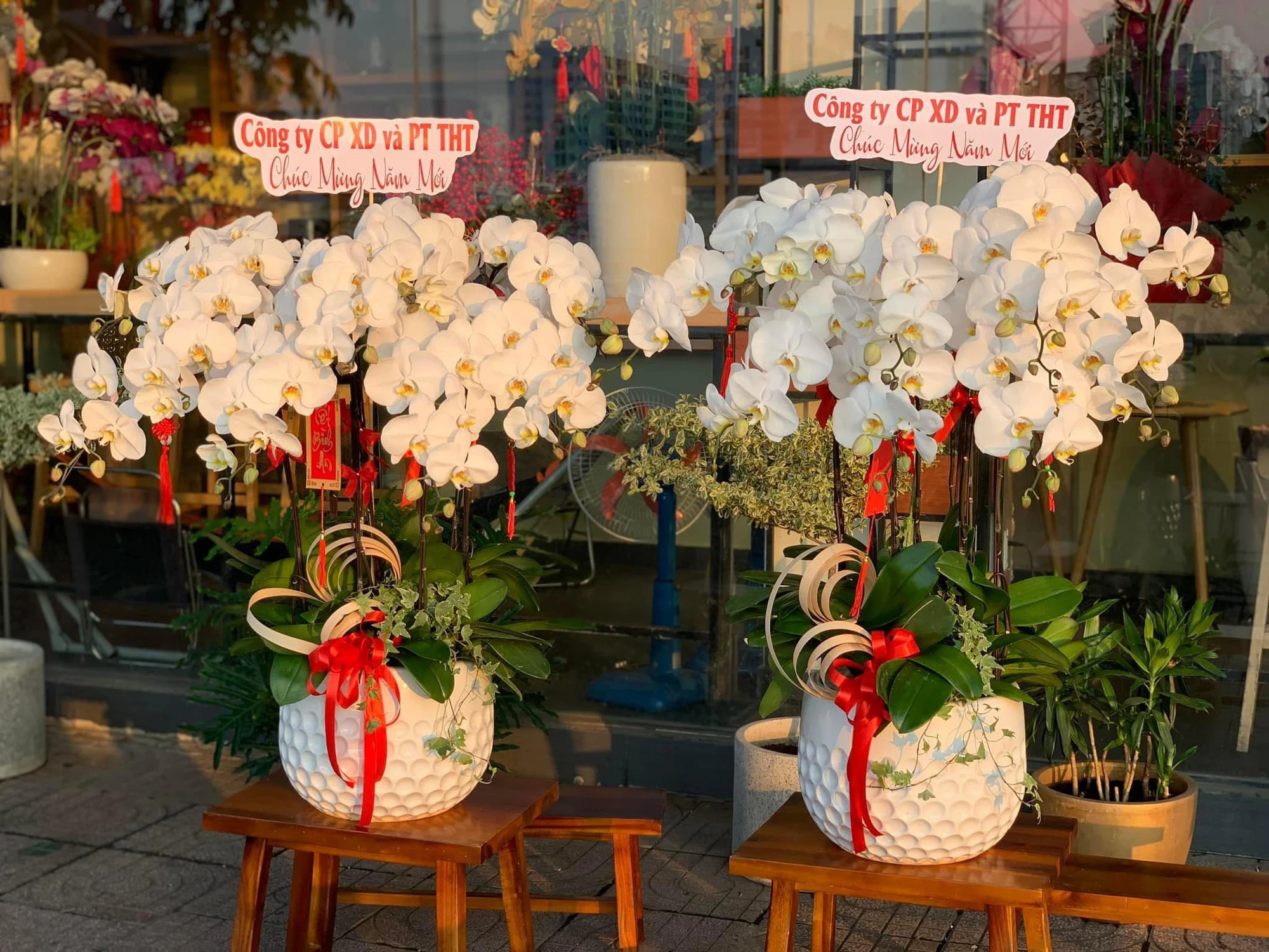 Giới thiệu shop hoa lan hồ điệp Nha Trang – Hoa Tháng Năm