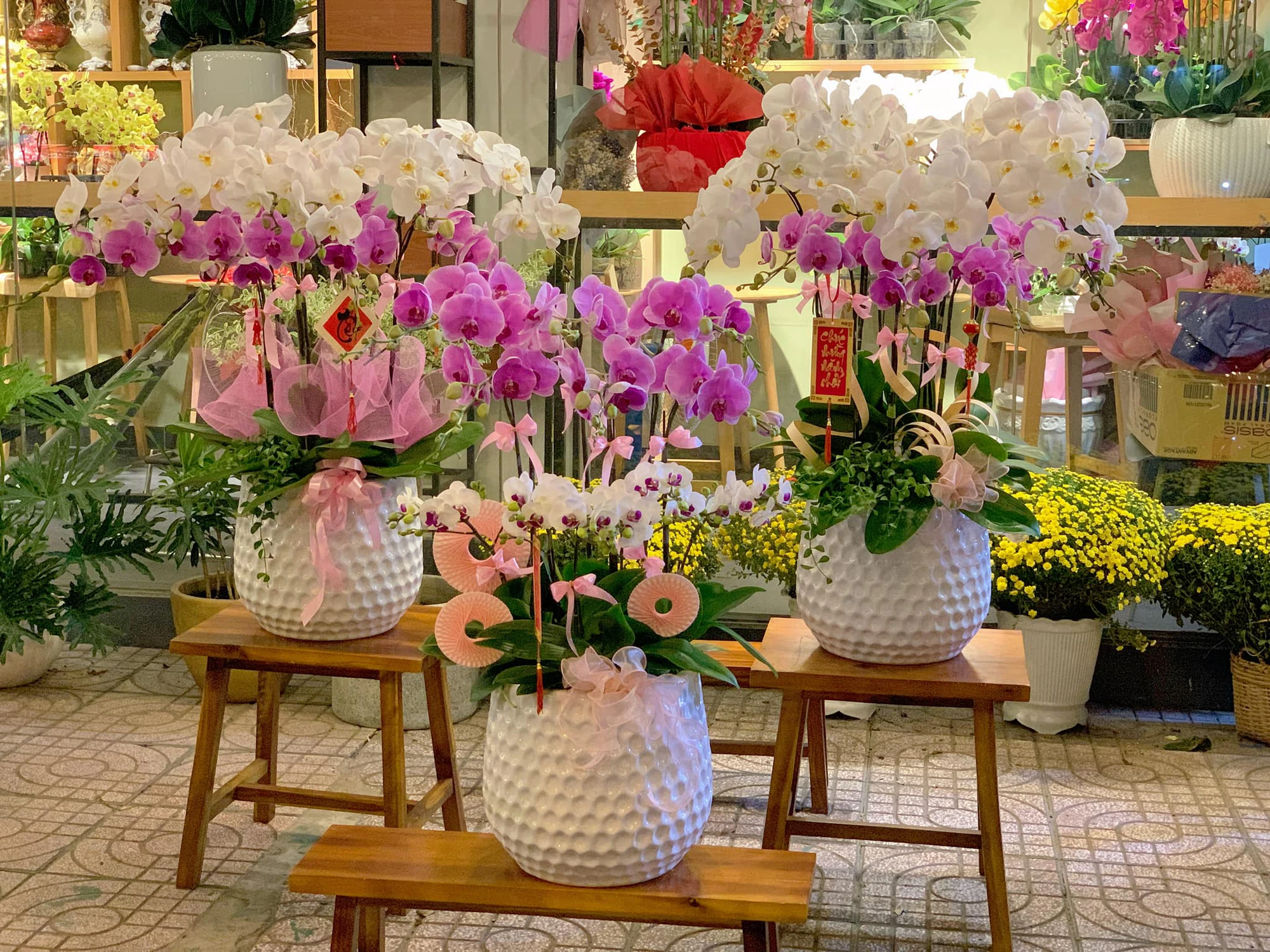 Quy trình đặt hoa lan hồ điệp Nha Trang