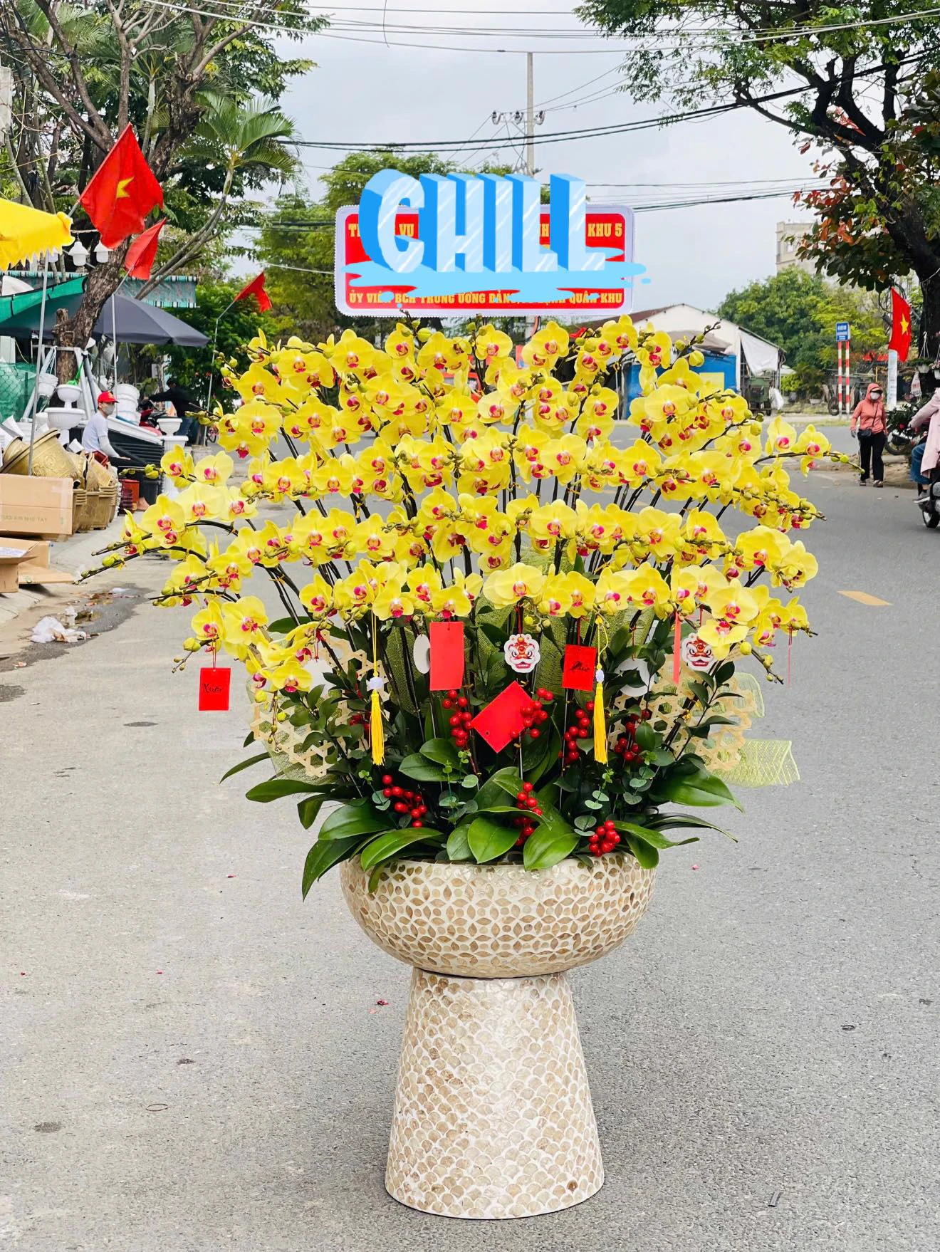 Dịch vụ giao lan hồ điệp tận nơi tại Quy Nhơn